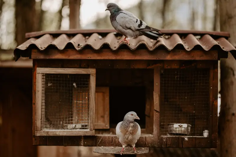 Ranč Zoo – fotka 95 z 157