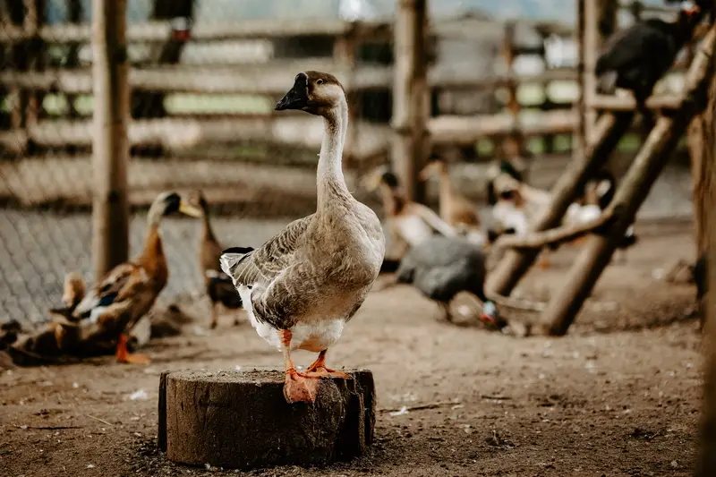 Ranč Zoo – fotka 96 z 157