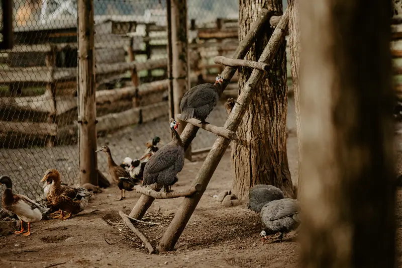 Ranč Zoo – fotka 97 z 157