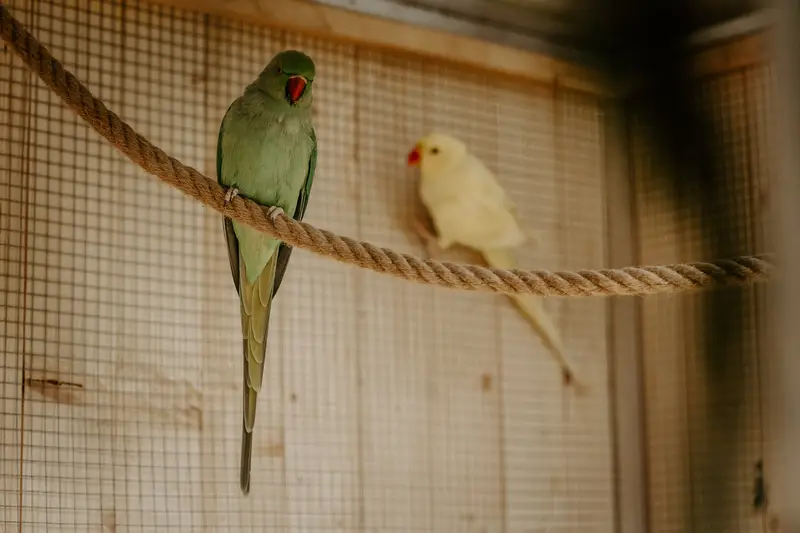 Ranč Zoo – fotka 98 z 157