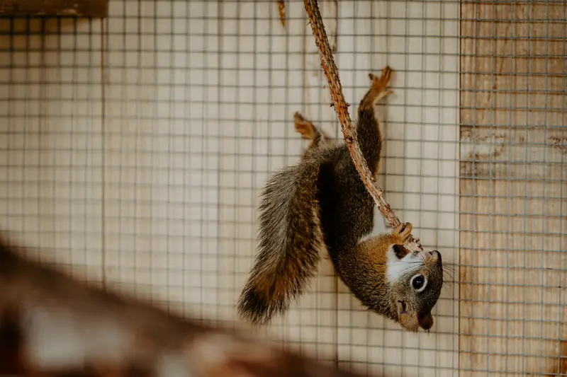 Ranč Zoo – fotka 99 z 157