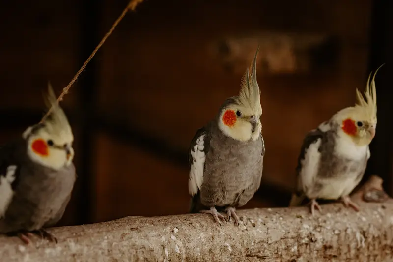 Ranč Zoo – fotka 102 z 157