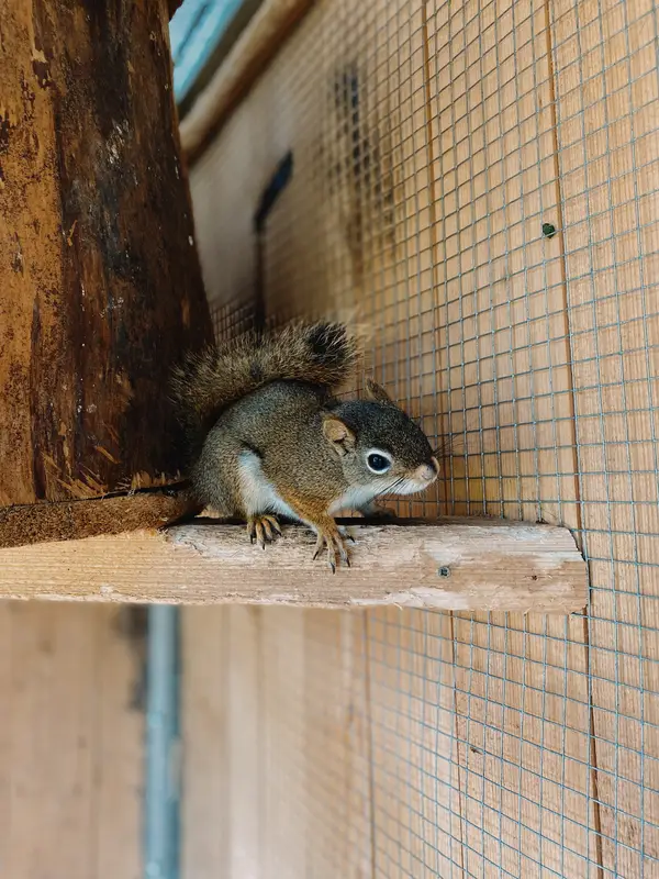 Ranč Zoo – fotka 104 z 157