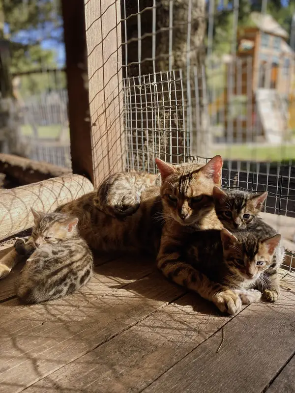 Ranč Zoo – fotka 106 z 157