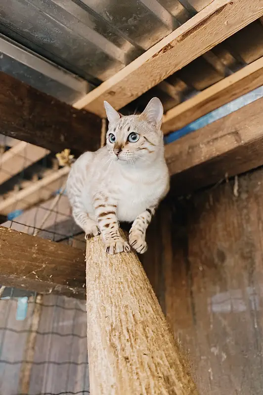 Ranč Zoo – fotka 108 z 157