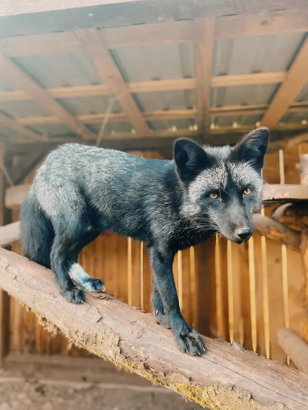 Ranč Zoo – fotka 110 z 157