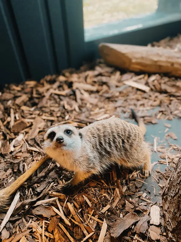 Ranč Zoo – fotka 111 z 157