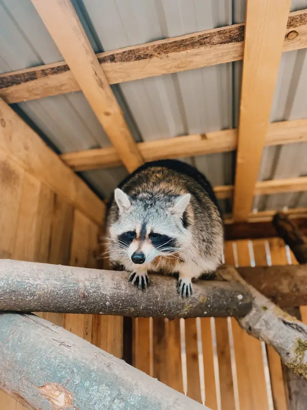 Ranč Zoo – fotka 112 z 157