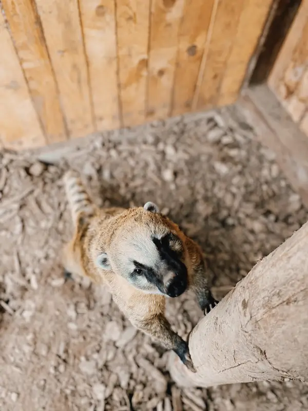 Ranč Zoo – fotka 113 z 157
