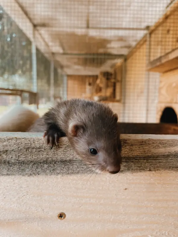 Ranč Zoo – fotka 114 z 157