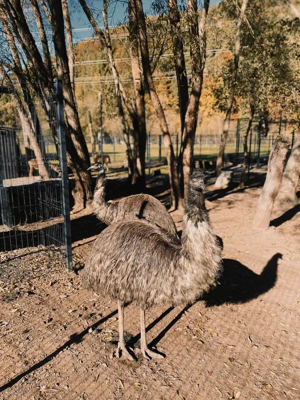 Ranč Zoo – fotka 116 z 157