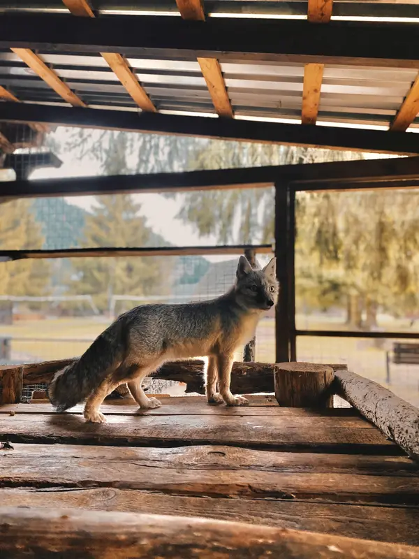 Ranč Zoo – fotka 117 z 157