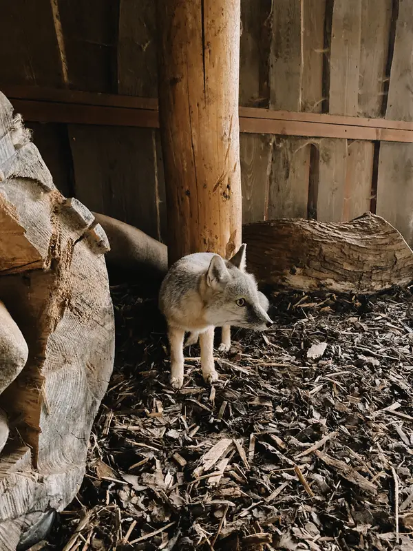 Ranč Zoo – fotka 118 z 157