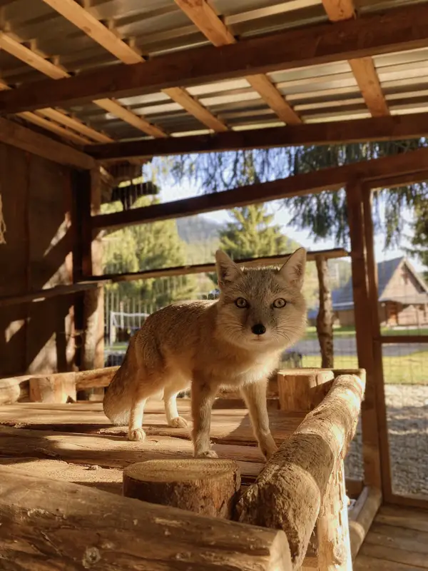 Ranč Zoo – fotka 119 z 157