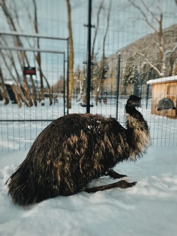 Ranč Zoo – fotka 120 z 157