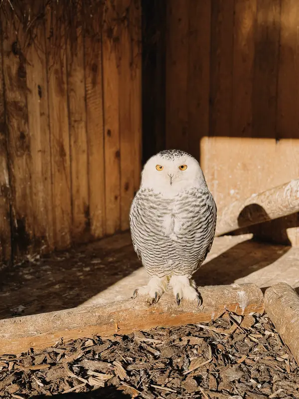 Ranč Zoo – fotka 121 z 157