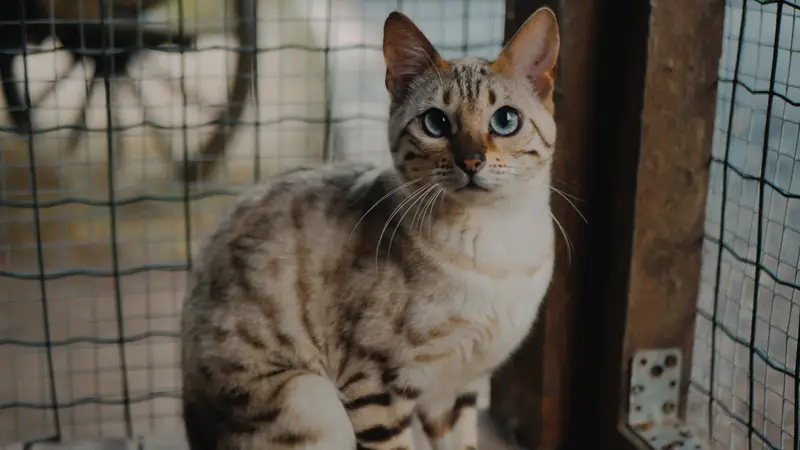 Ranč Zoo – fotka 122 z 157