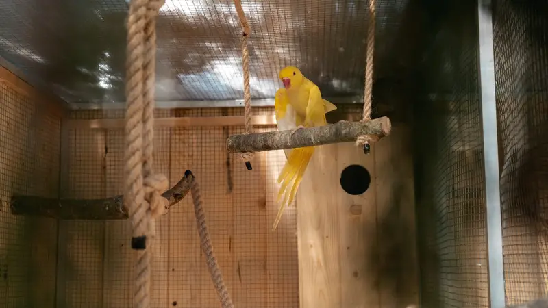 Ranč Zoo – fotka 129 z 157