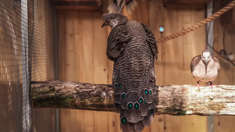 Ranč Zoo – fotka 130 z 157