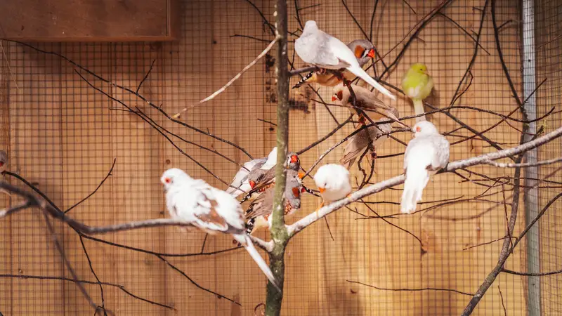 Ranč Zoo – fotka 131 z 157