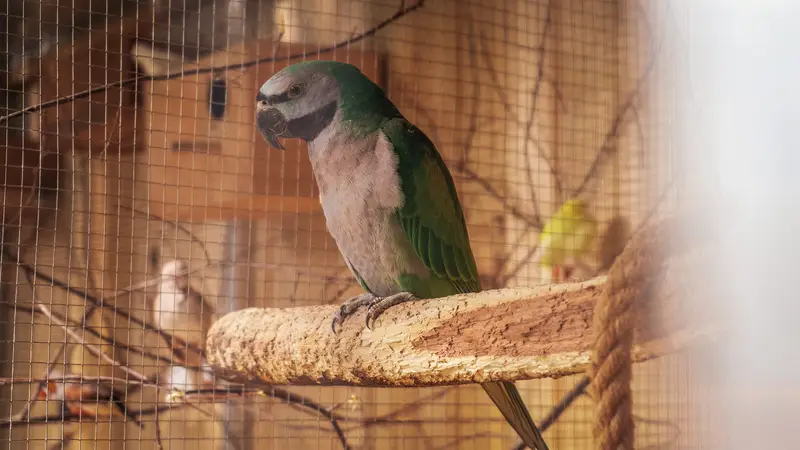 Ranč Zoo – fotka 132 z 157