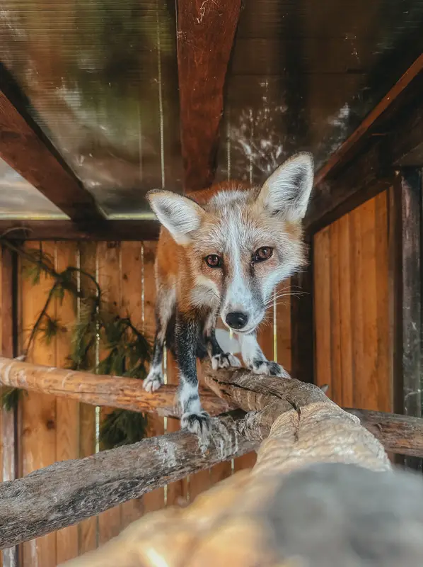 Ranč Zoo – fotka 136 z 157