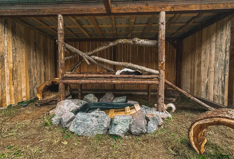 Ranč Zoo – fotka 137 z 157