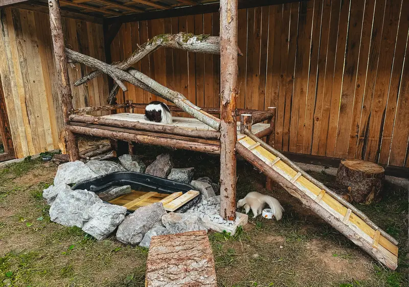 Ranč Zoo – fotka 138 z 157