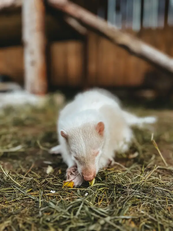 Ranč Zoo – fotka 139 z 157