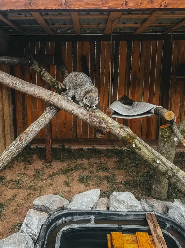 Ranč Zoo – fotka 141 z 157