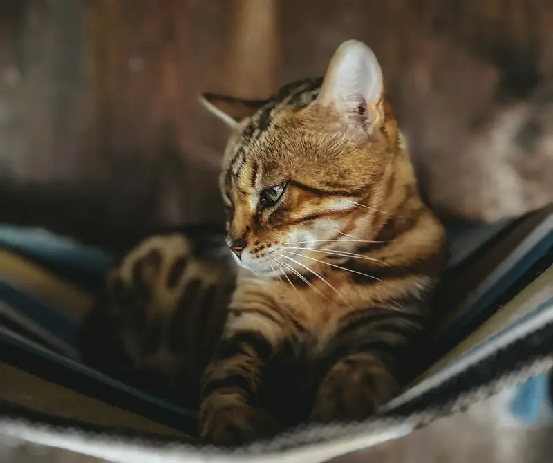Ranč Zoo – fotka 142 z 157