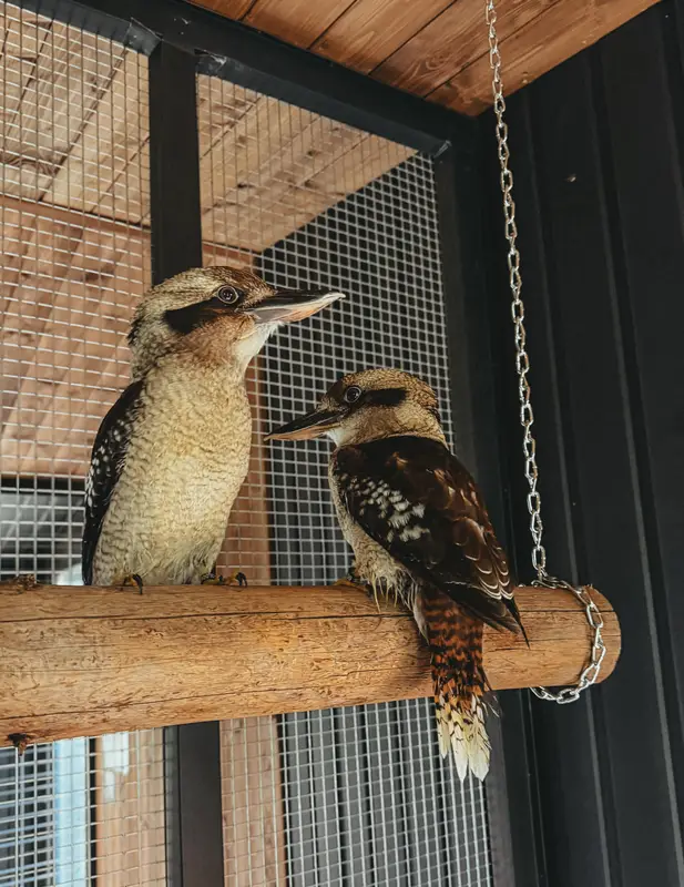 Ranč Zoo – fotka 144 z 157