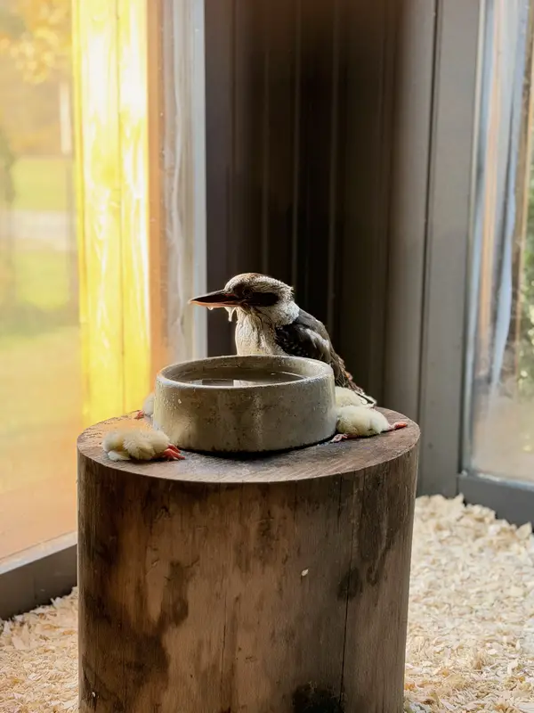 Ranč Zoo – fotka 145 z 157