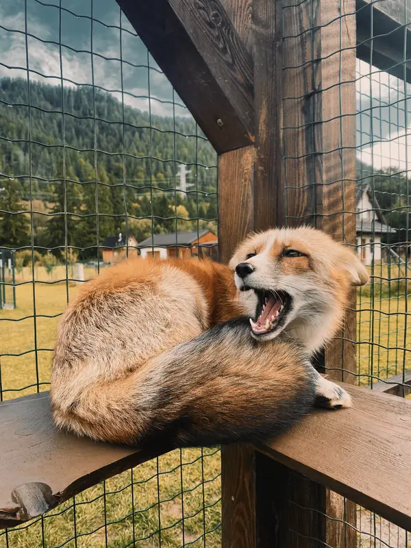 Ranč Zoo – fotka 147 z 157