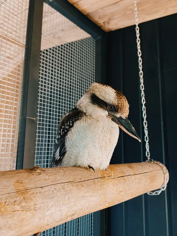 Ranč Zoo – fotka 148 z 157