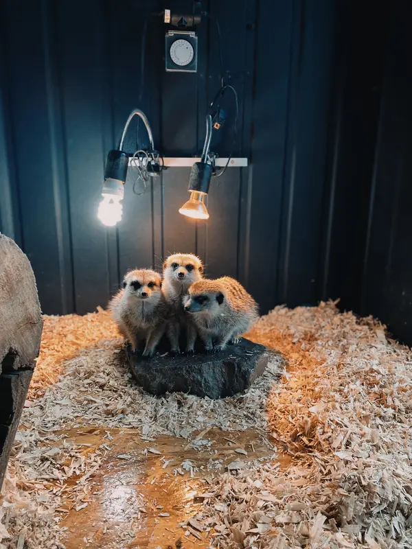 Ranč Zoo – fotka 149 z 157