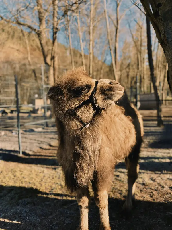 Ranč Zoo – fotka 150 z 157
