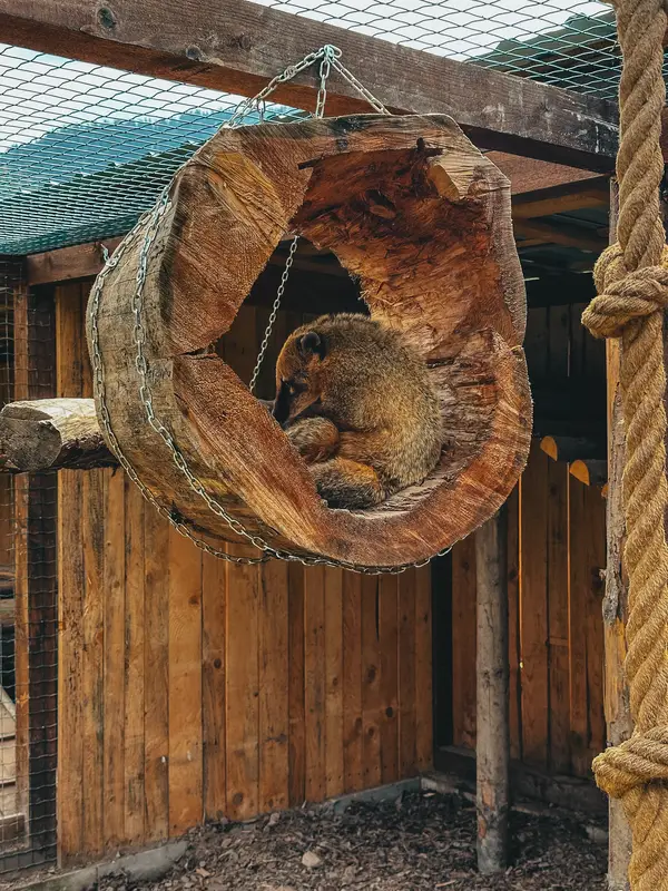 Ranč Zoo – fotka 153 z 157