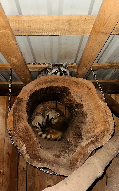 Ranč Zoo – fotka 157 z 157
